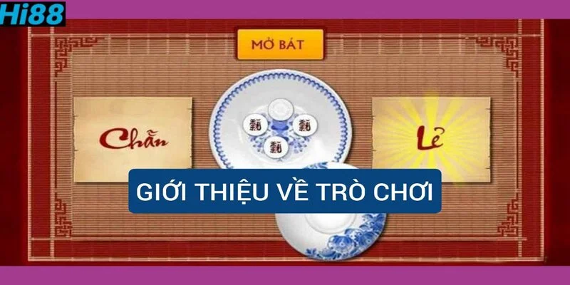 gioi-thieu-ve-tro-choi-chan-le.jpg